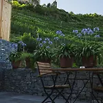 Weinhaus Nigl - Hotel, Restaurant Und Bed & Breakfast 4*