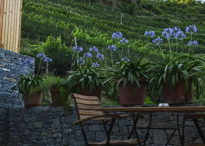 Weinhaus Nigl - Hotel, Restaurant Und Bed & Breakfast 4*